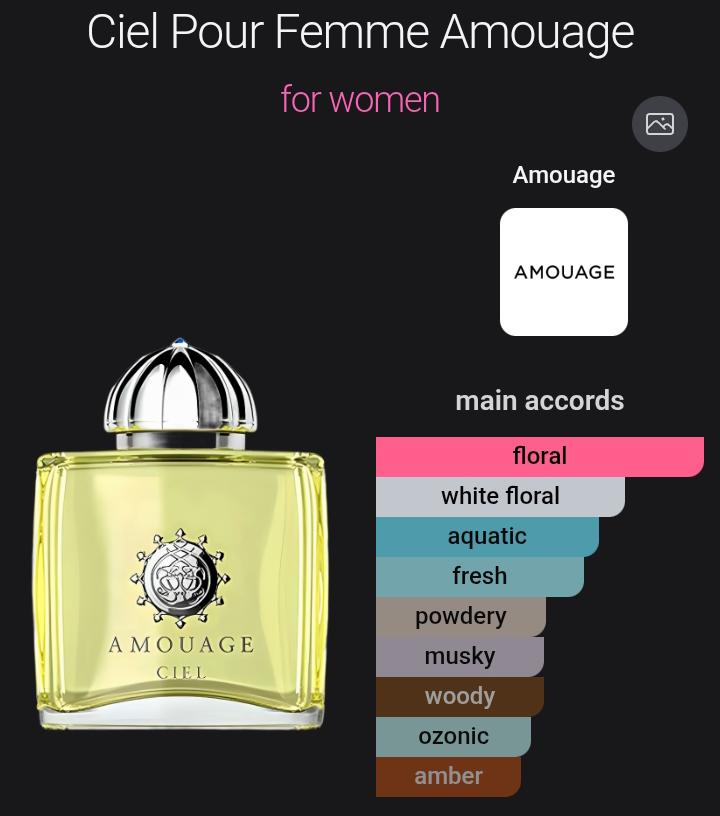 DESIGNER PERFUME OIL VERSION of Ciel Pour Femme Amouage