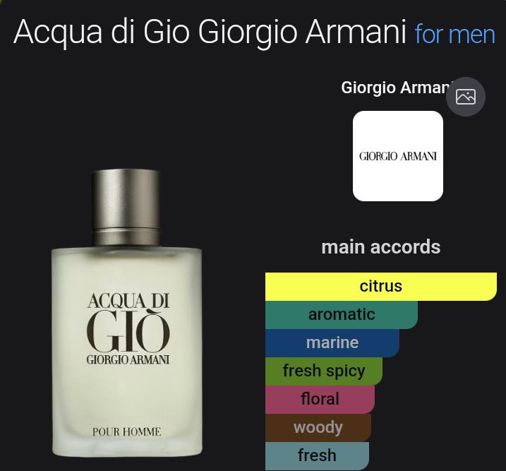 DESIGNER PERFUME OIL VERSION of Acqua di Gio Giorgio Armani