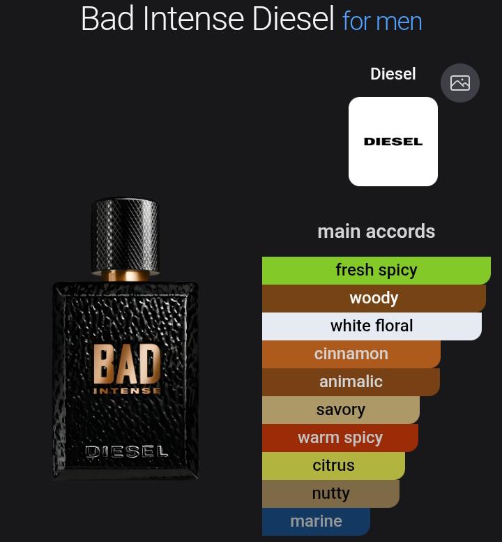 DESIGNER PERFUME OIL VERSION of Bad Intense Diesel